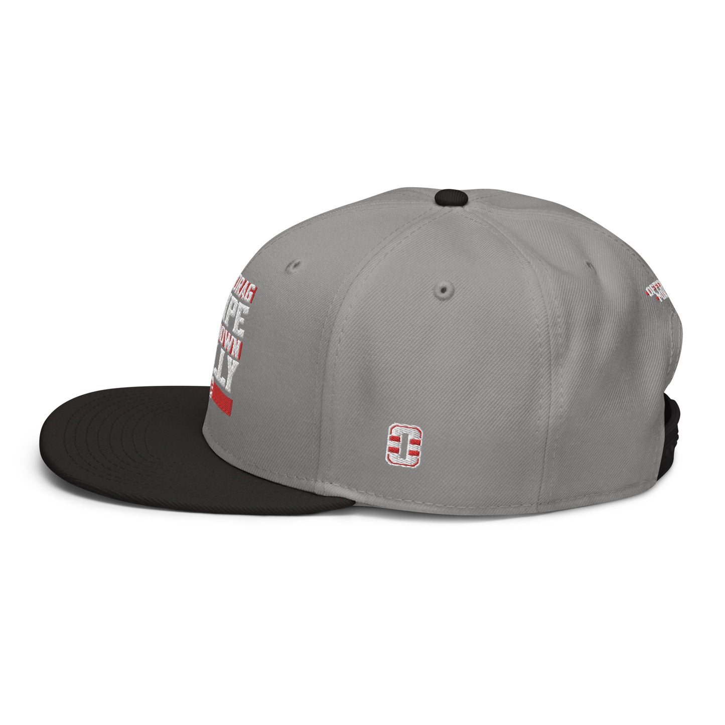 TDSBDC Snapback Hat