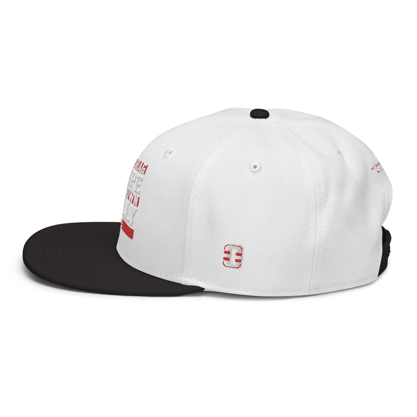 TDSBDC Snapback Hat