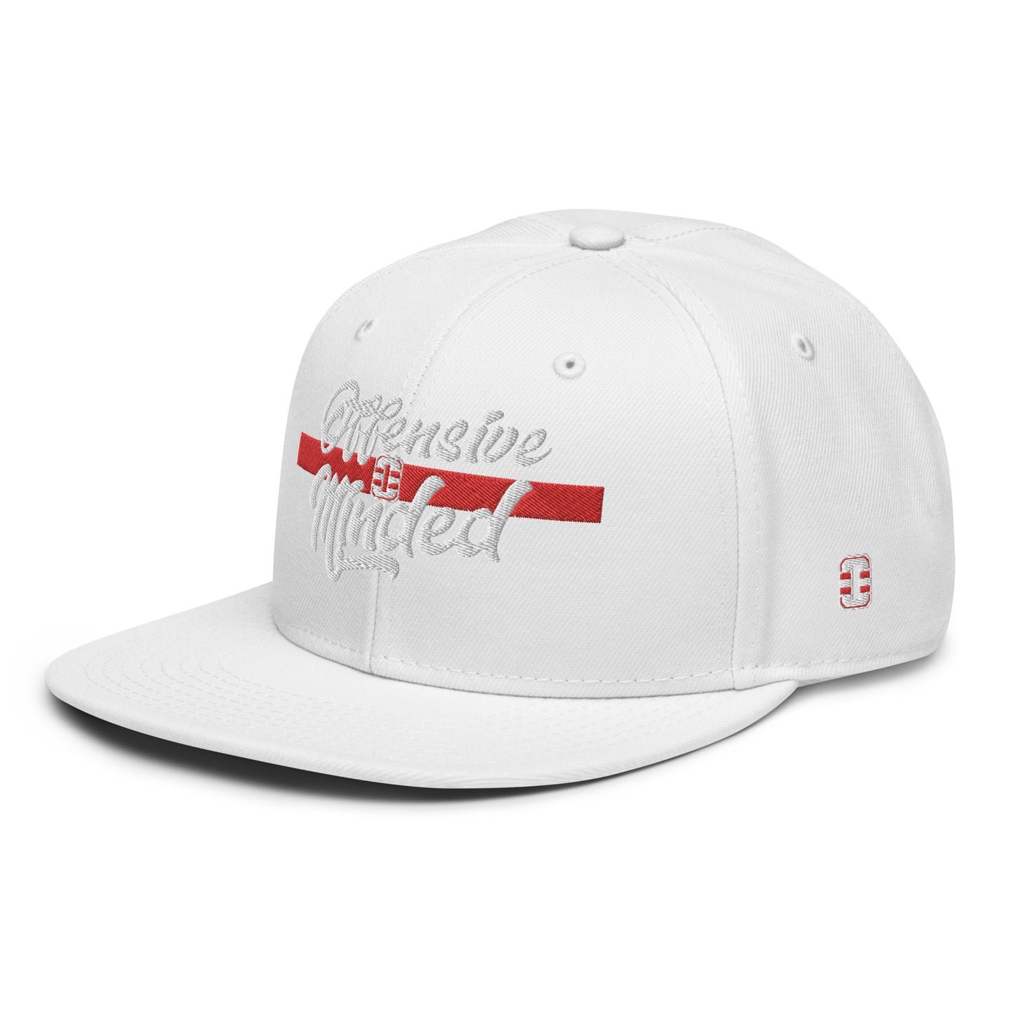Offensive Script Snapback Hat