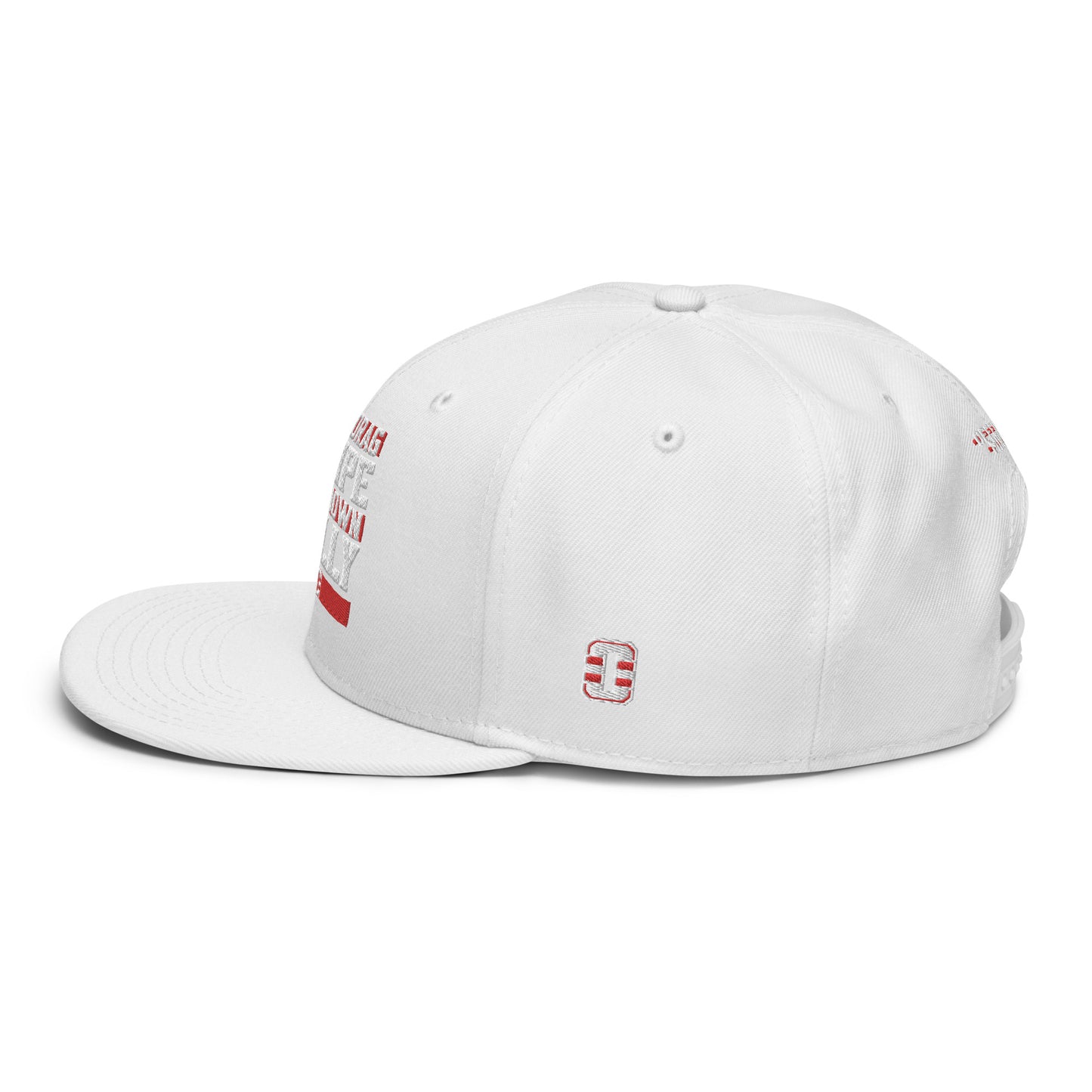 TDSBDC Snapback Hat