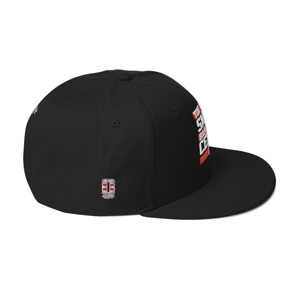 TDSBDC Snapback Hat