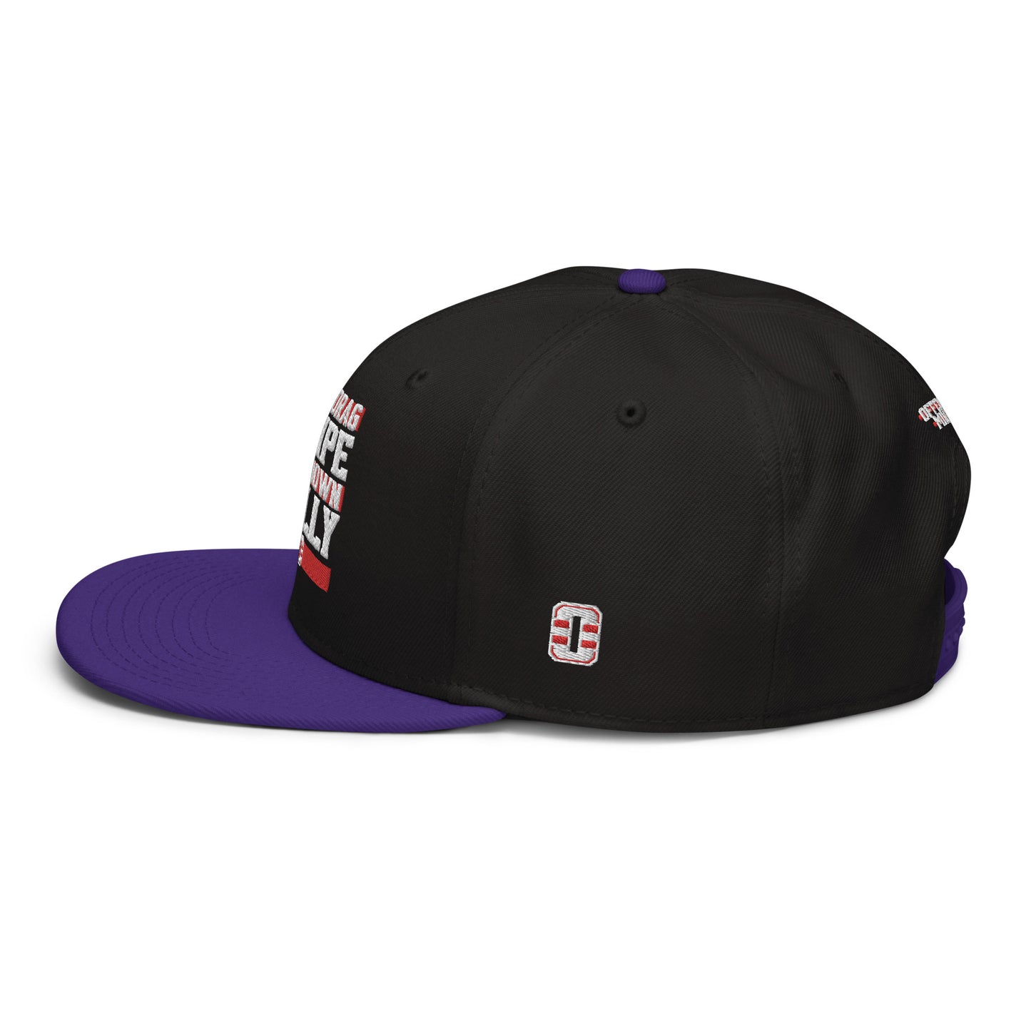 TDSBDC Snapback Hat